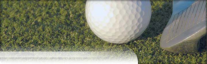 Putters Edge Custom Putting Greens: Golf Teeline Driving Mats: Tee-Line
